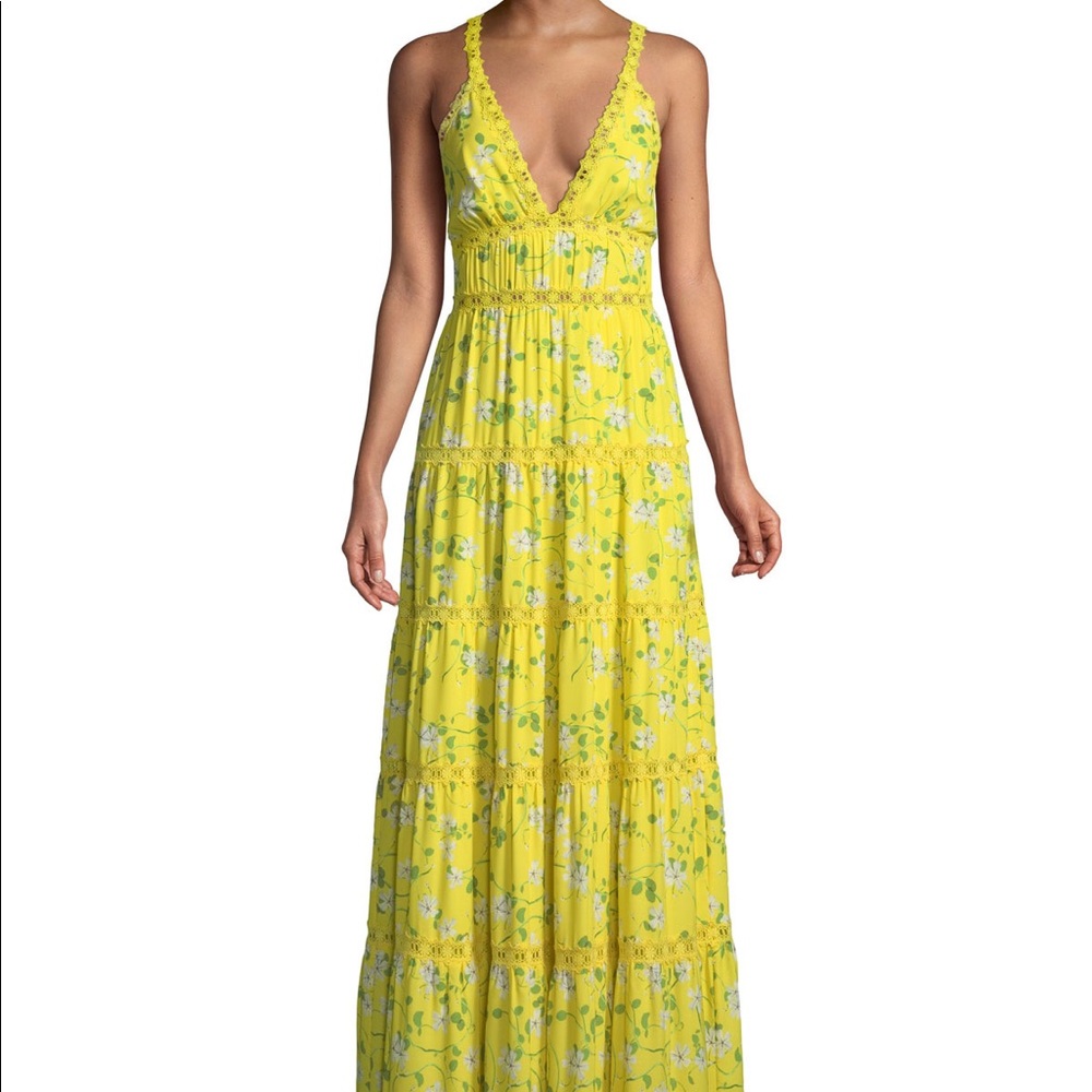 Alice + Olivia Karolina Floral-Print Tiered Maxi